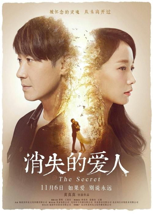 中国农业银行存款证明显示存入日吗